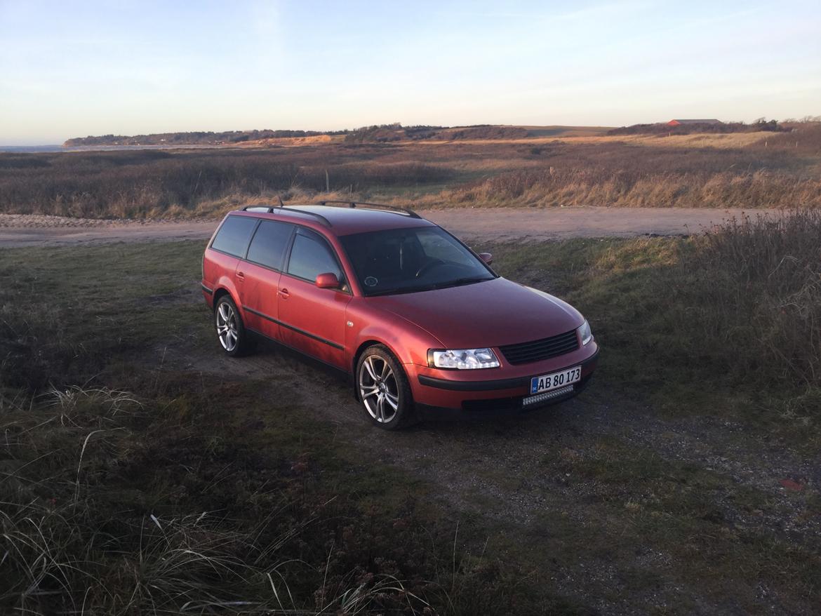 VW PASSAT kombi (3B5) billede 2