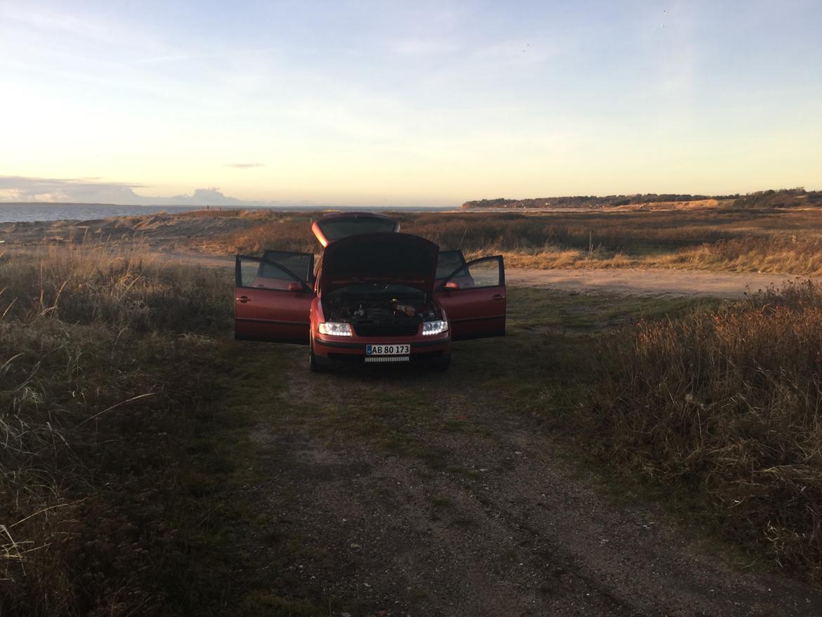 VW PASSAT kombi (3B5) billede 12