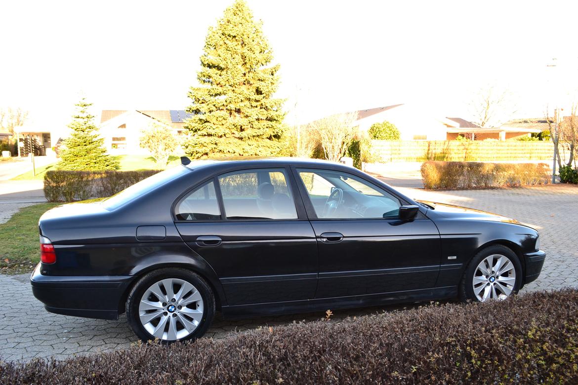 BMW 523i billede 11