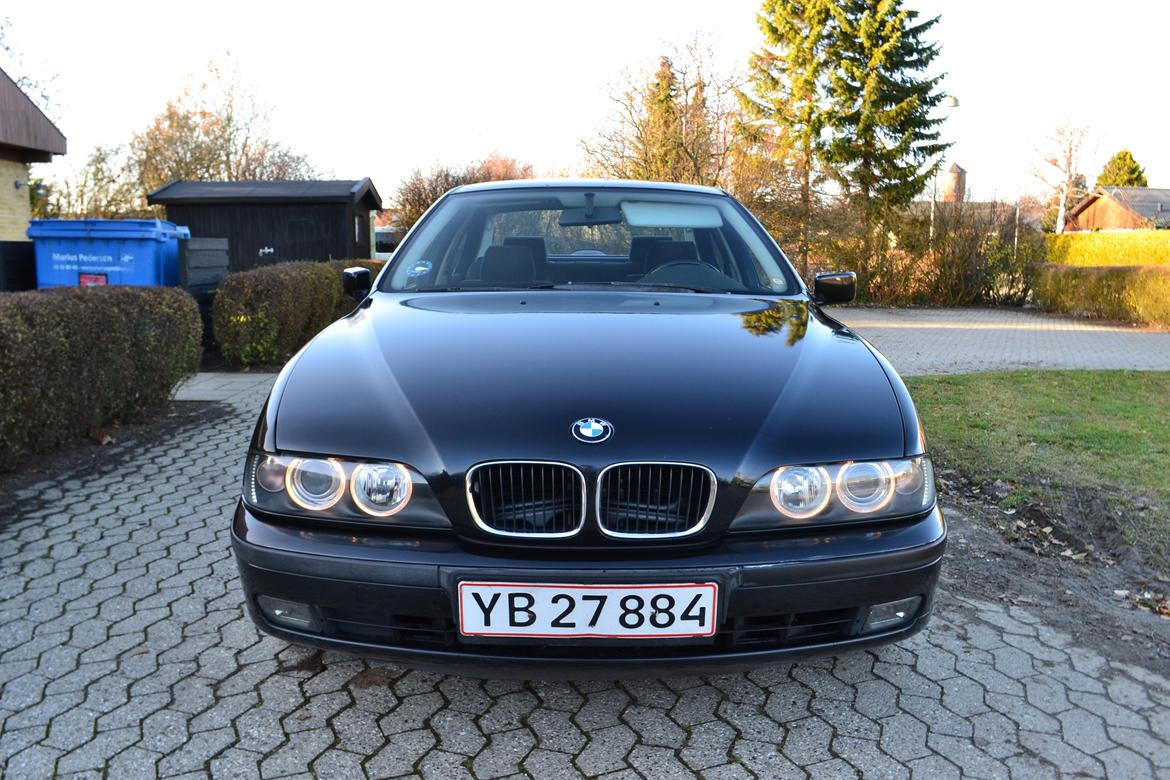 BMW 523i billede 13