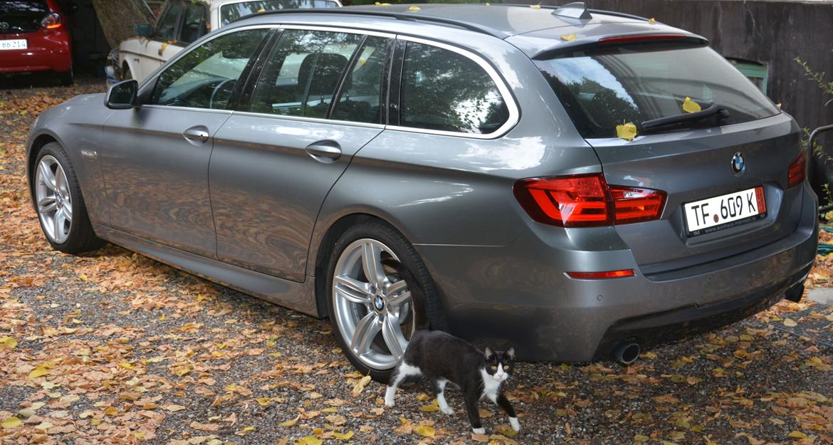 BMW 535i, touring, F11 billede 11