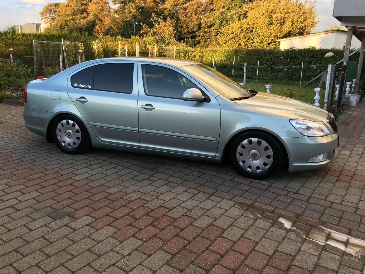 Skoda Octavia  billede 14