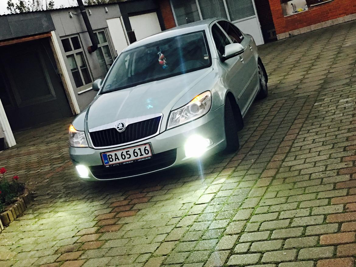 Skoda Octavia  billede 16