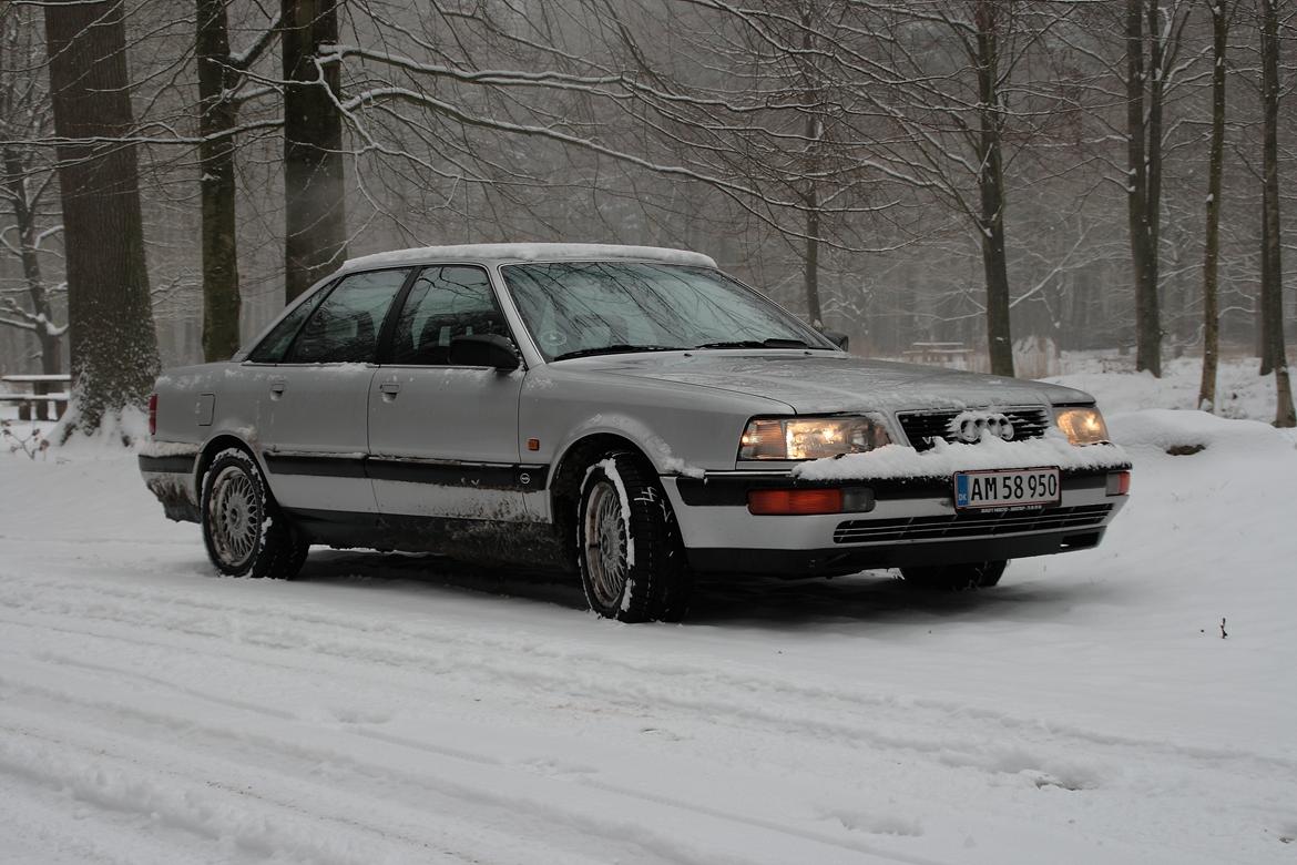 Audi V8 Quattro (Vinterbil) billede 6