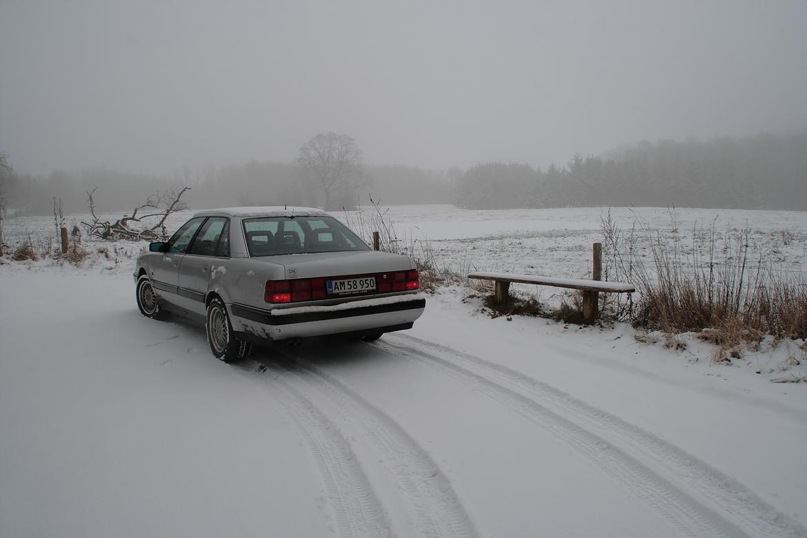 Audi V8 Quattro (Vinterbil) billede 7