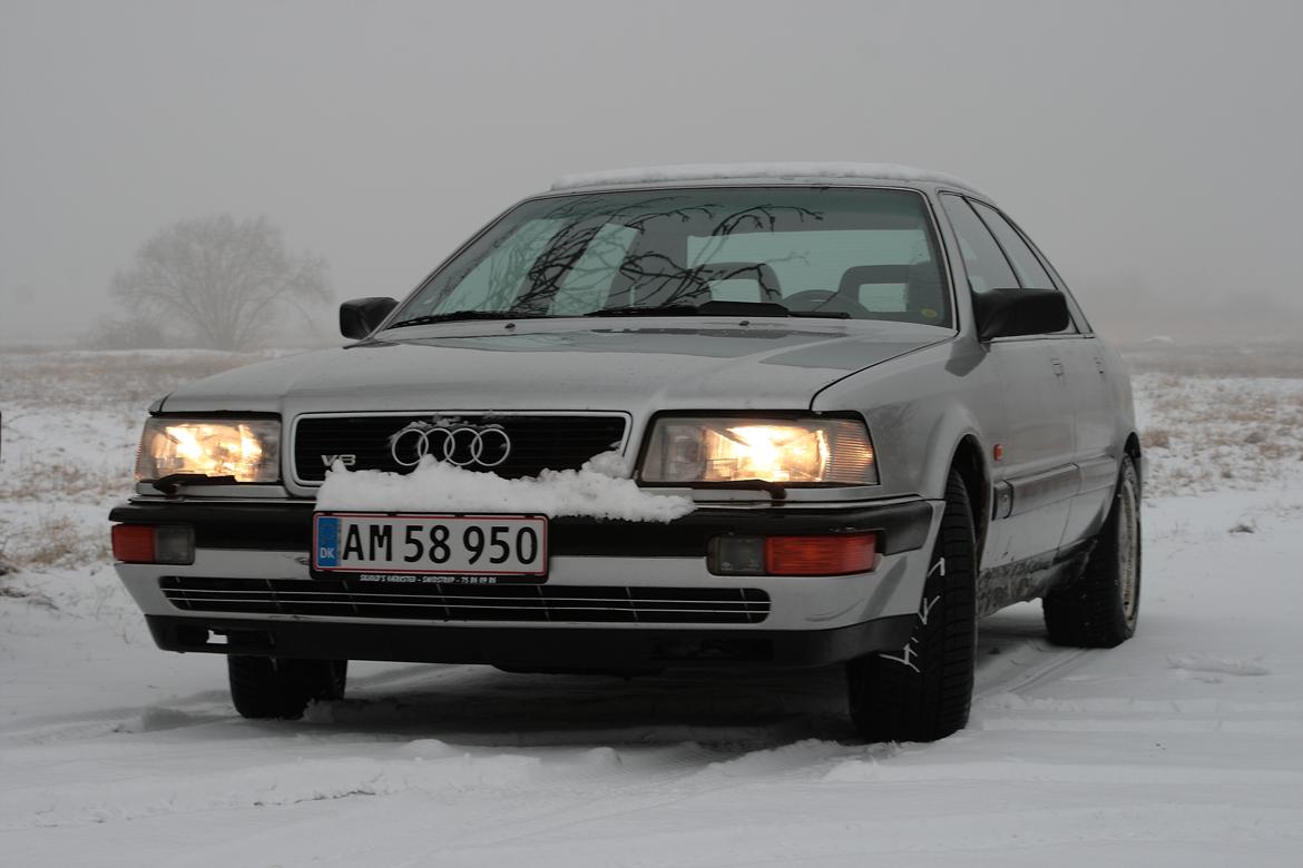 Audi V8 Quattro (Vinterbil) billede 9