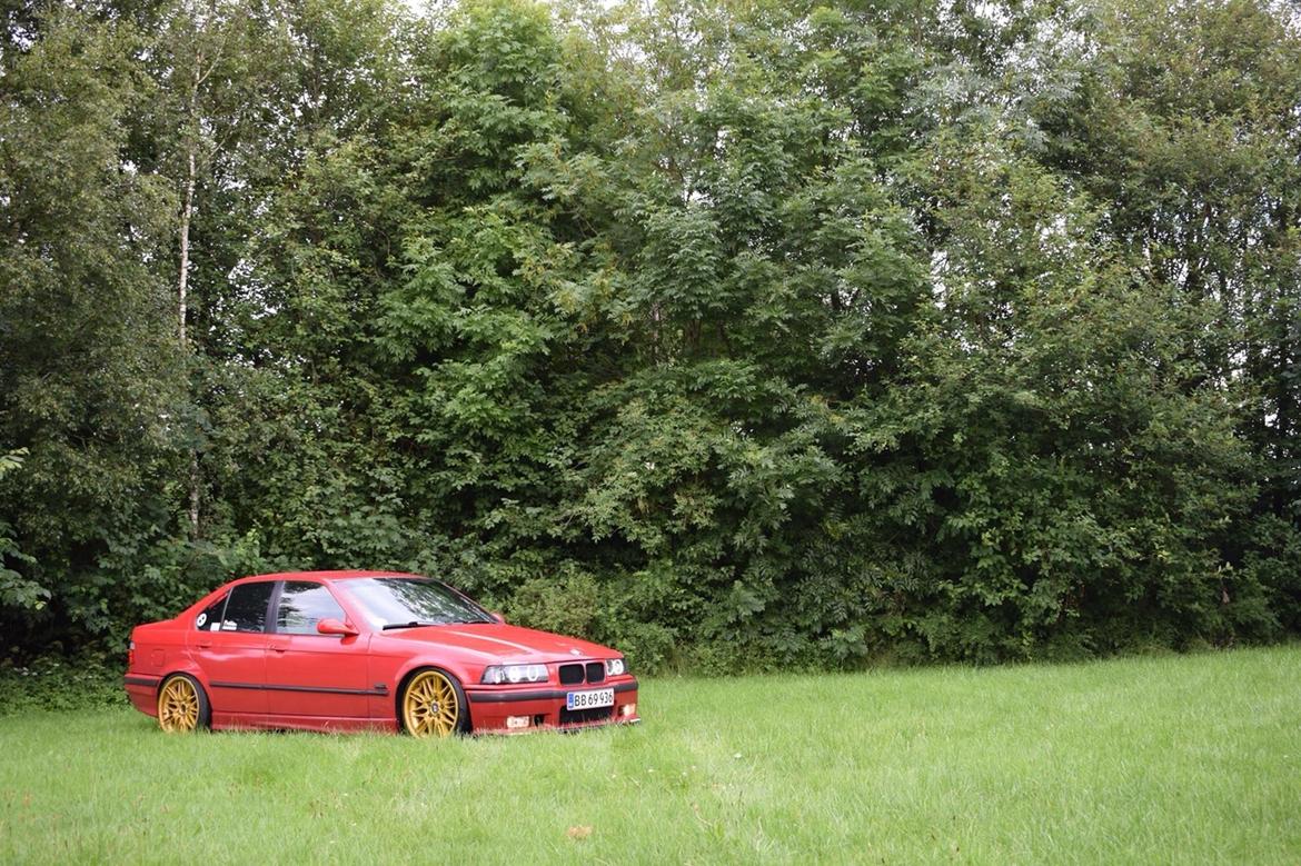 BMW e36 billede 13