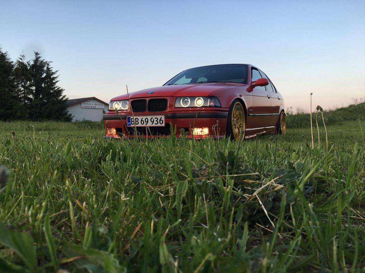 BMW e36 billede 20