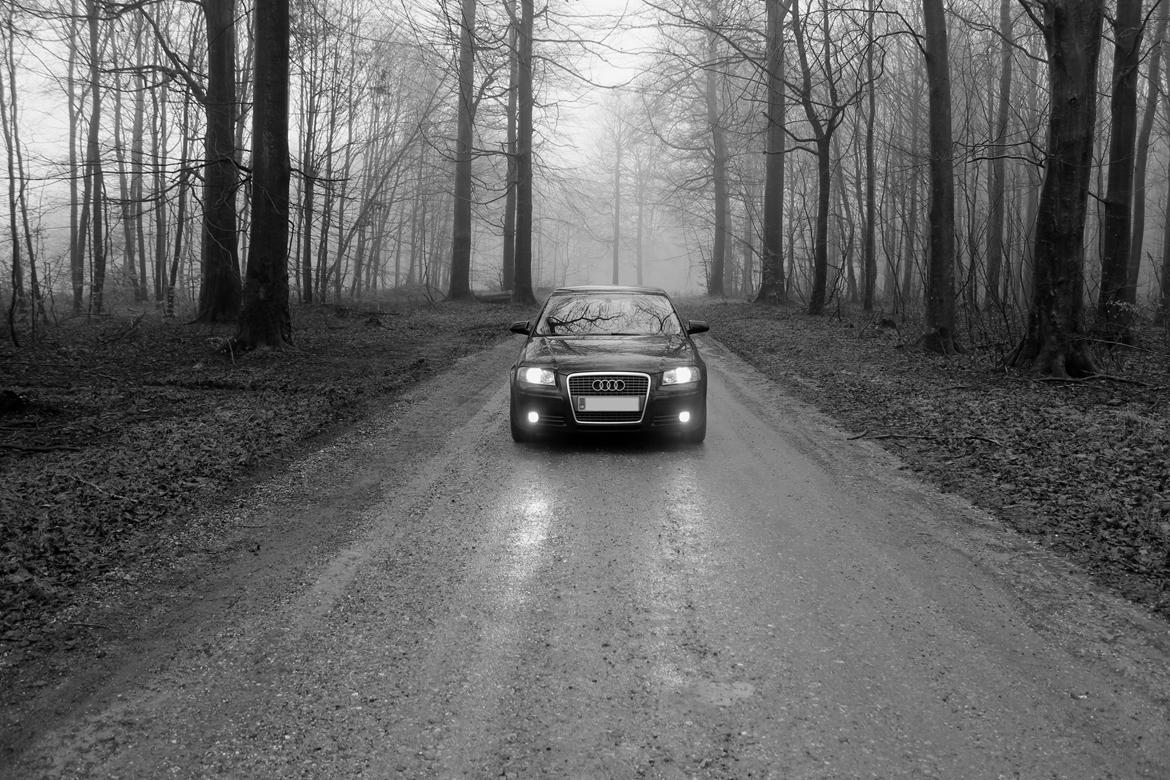 Audi A3 8P Sportback billede 10