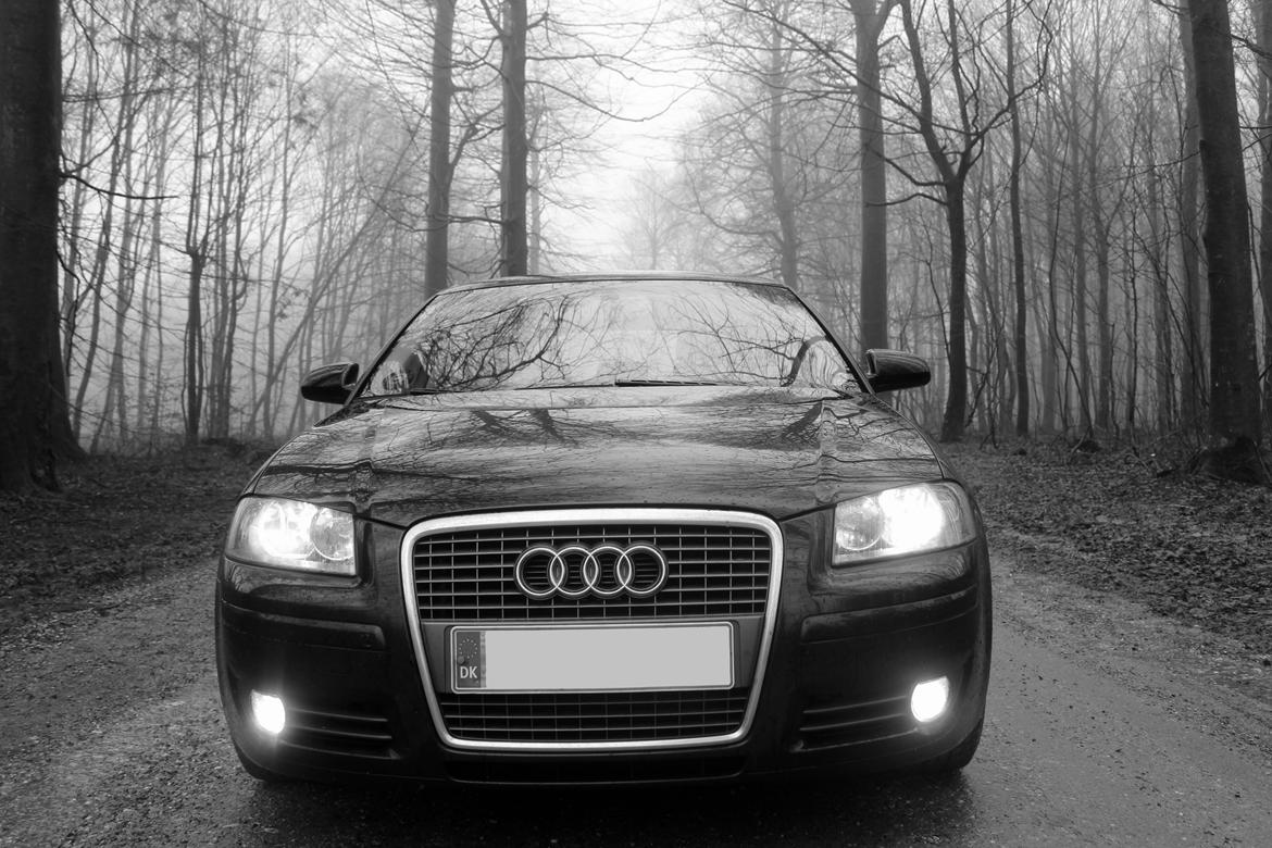 Audi A3 8P Sportback billede 12