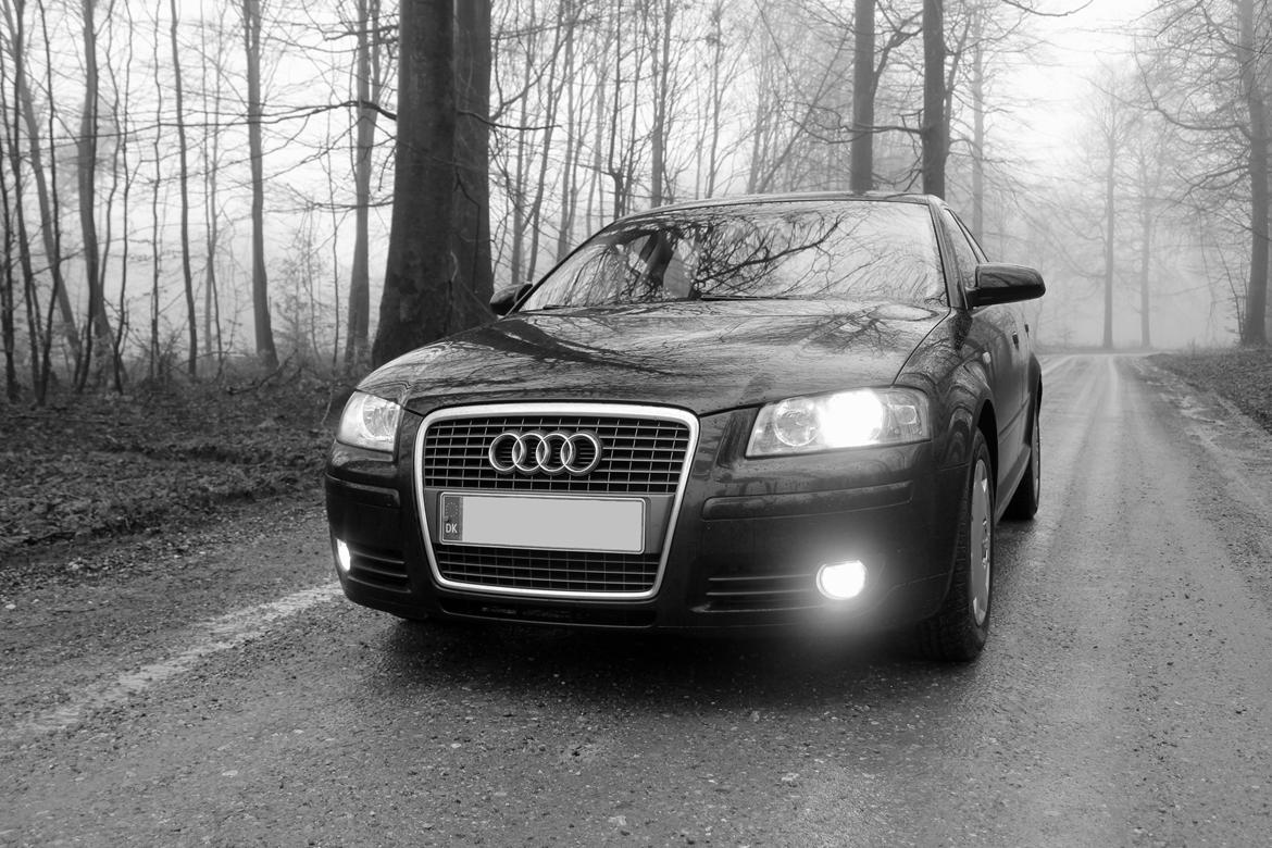 Audi A3 8P Sportback billede 11