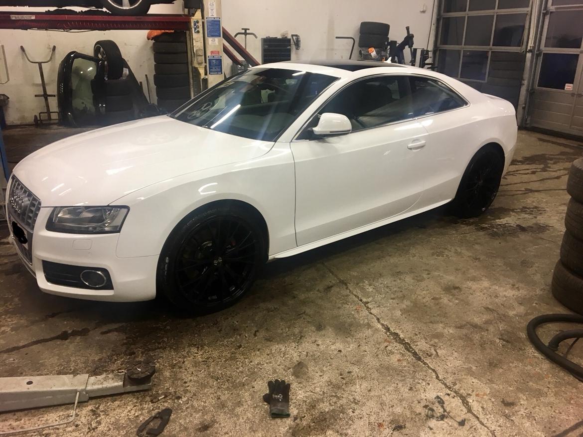 Audi S5 coupe billede 5