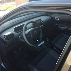 Citroën Cactus challenge