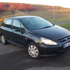 Peugeot 307 Griffe/SE