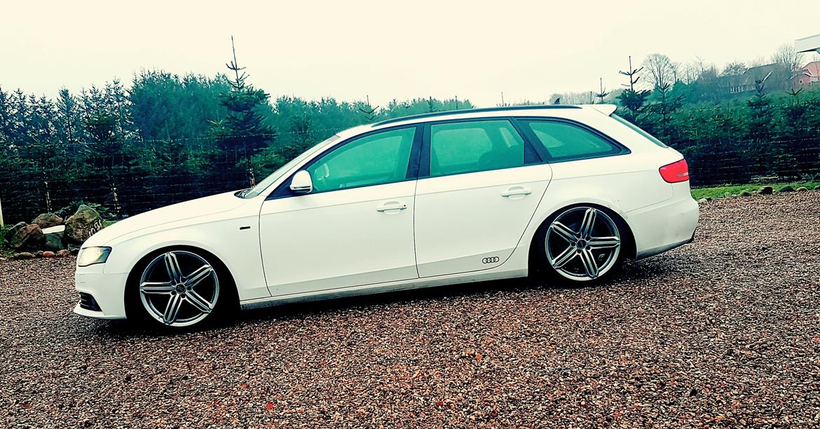 Audi A4 Avant B8/8K "Snehvide". - Vintertrim billede 12