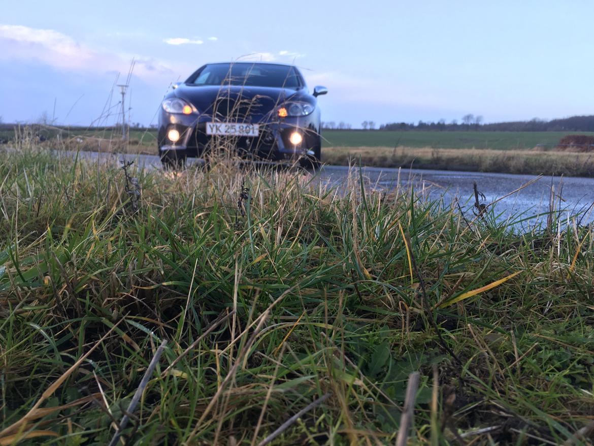 Seat Leon 1P billede 17