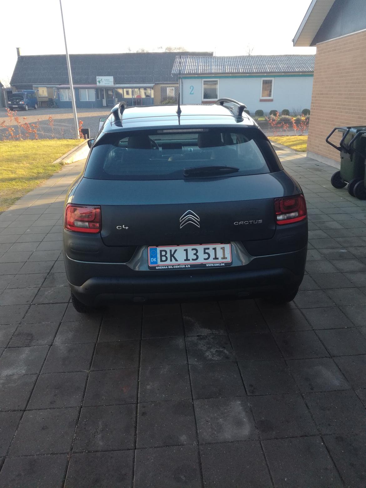 Citroën Cactus challenge billede 6