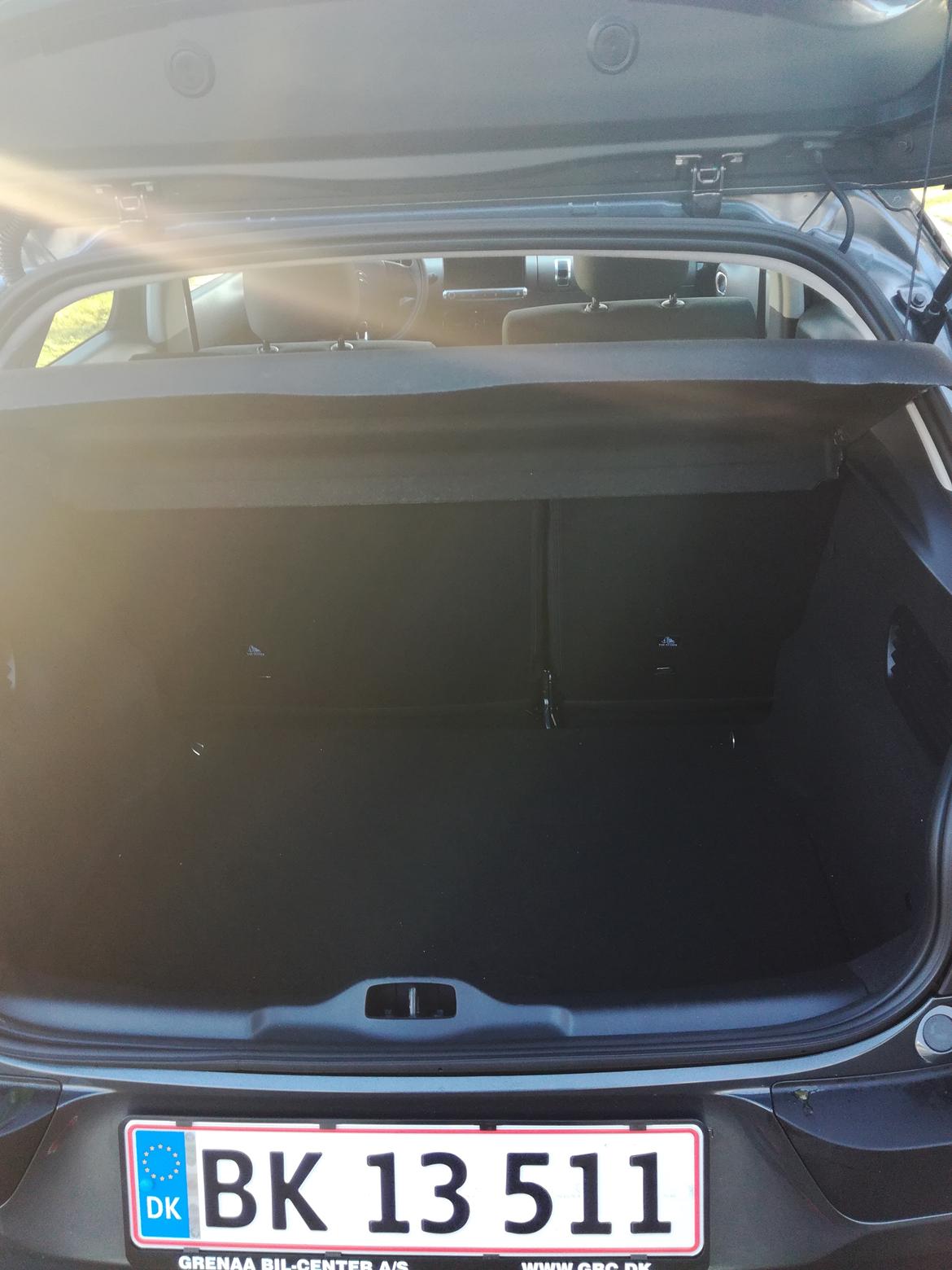 Citroën Cactus challenge billede 7