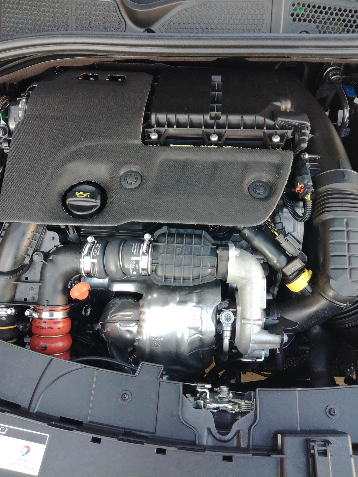 Citroën Cactus challenge billede 9