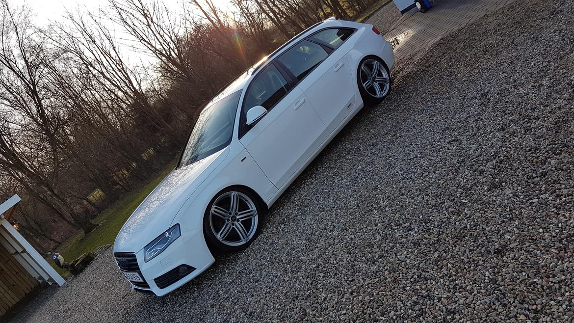 Audi A4 Avant B8/8K "Snehvide". billede 2