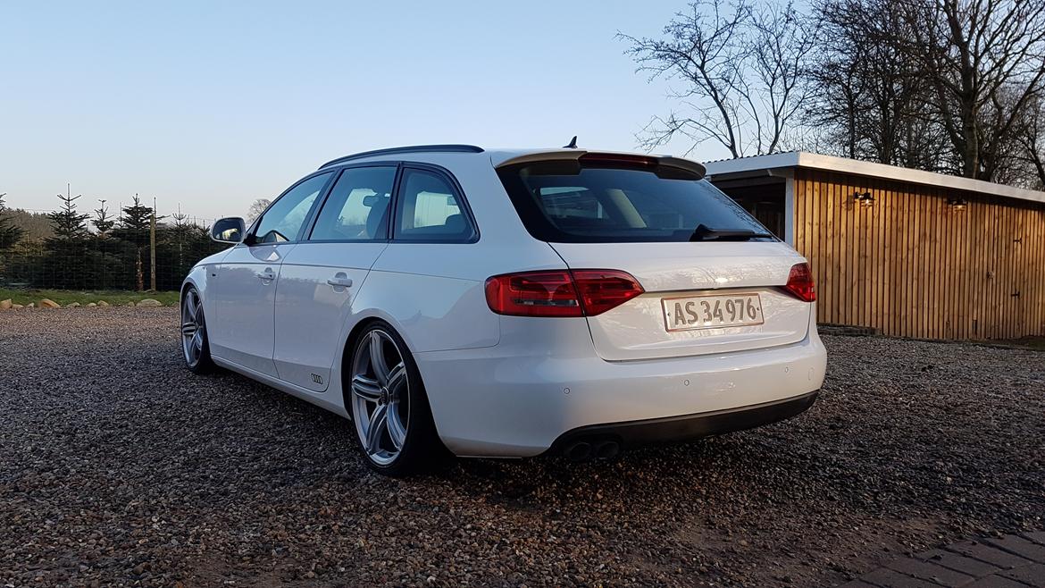 Audi A4 Avant B8/8K "Snehvide". billede 4