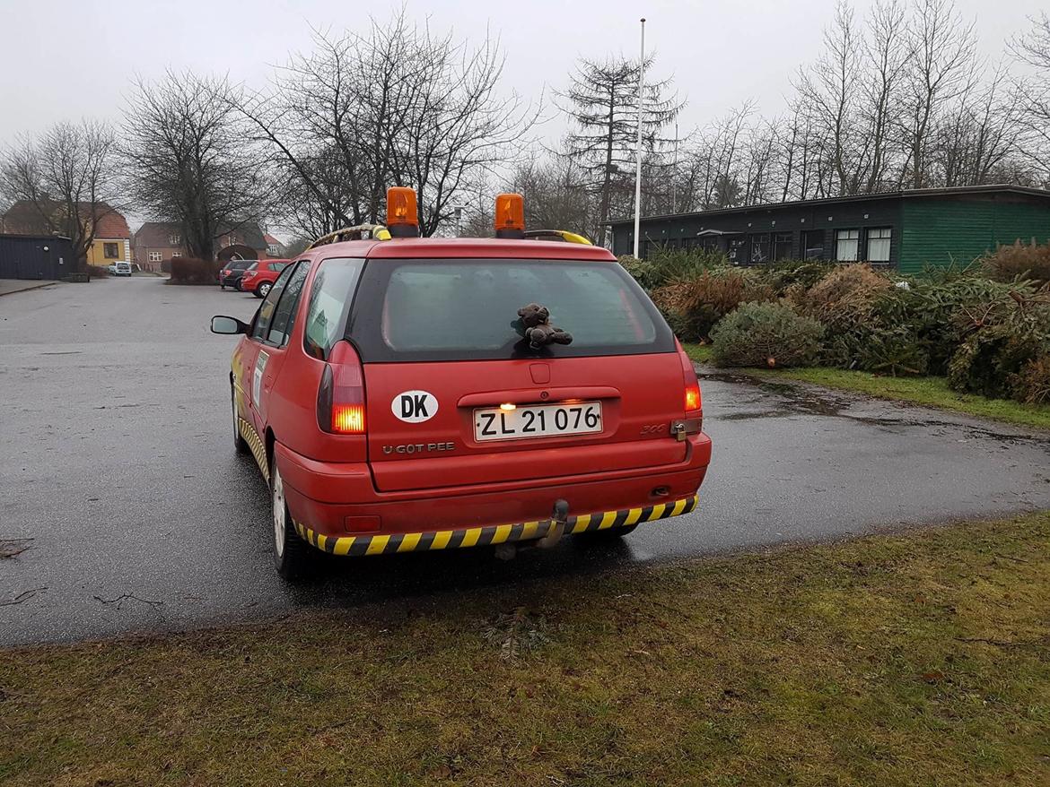 Peugeot Paula the carbage runner - 306 SW  billede 4