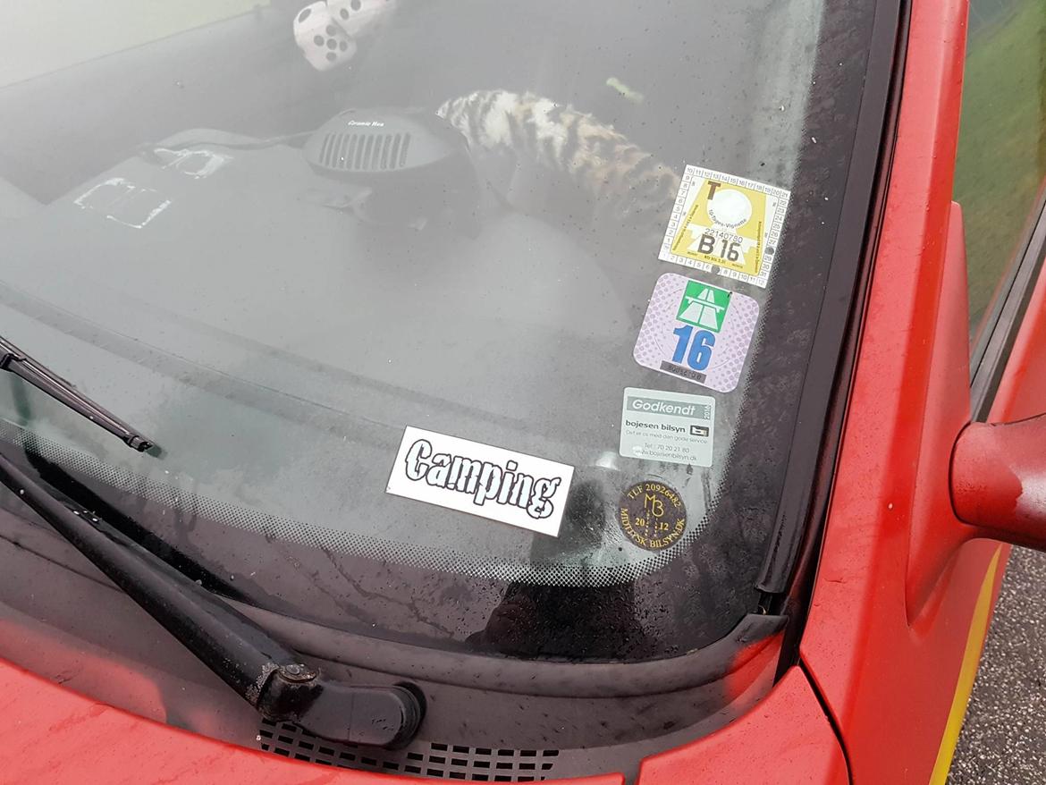 Peugeot Paula the carbage runner - 306 SW  billede 8