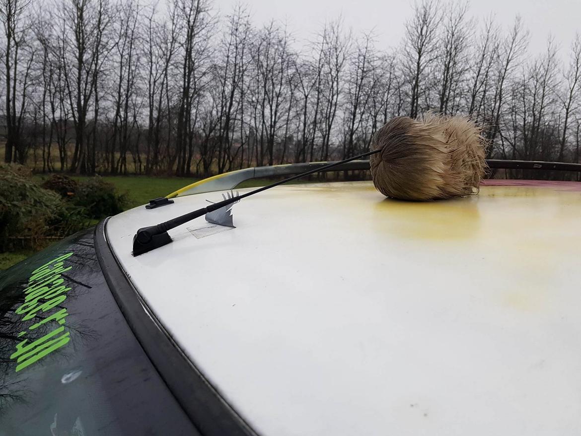 Peugeot Paula the carbage runner - 306 SW  billede 10