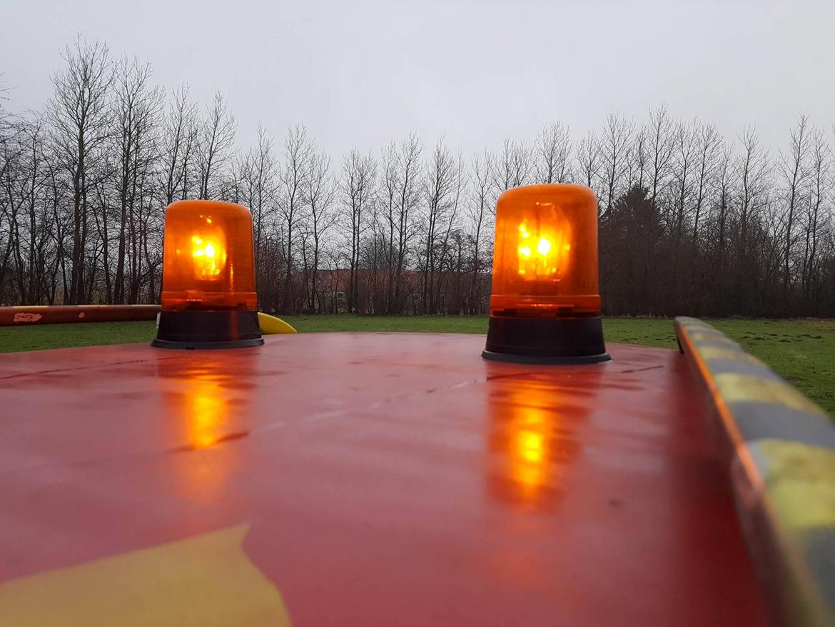 Peugeot Paula the carbage runner - 306 SW  billede 11