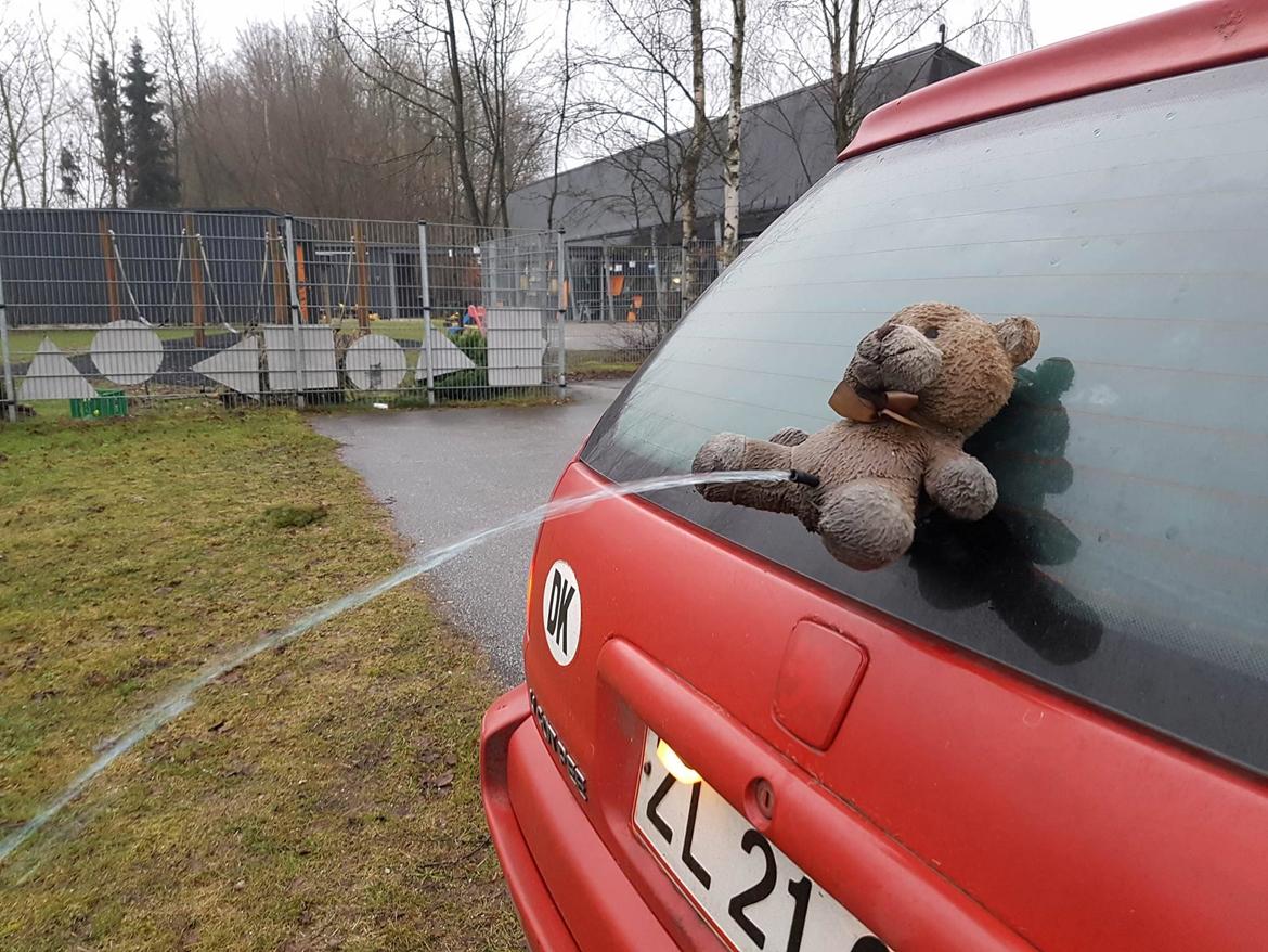 Peugeot Paula the carbage runner - 306 SW  billede 15