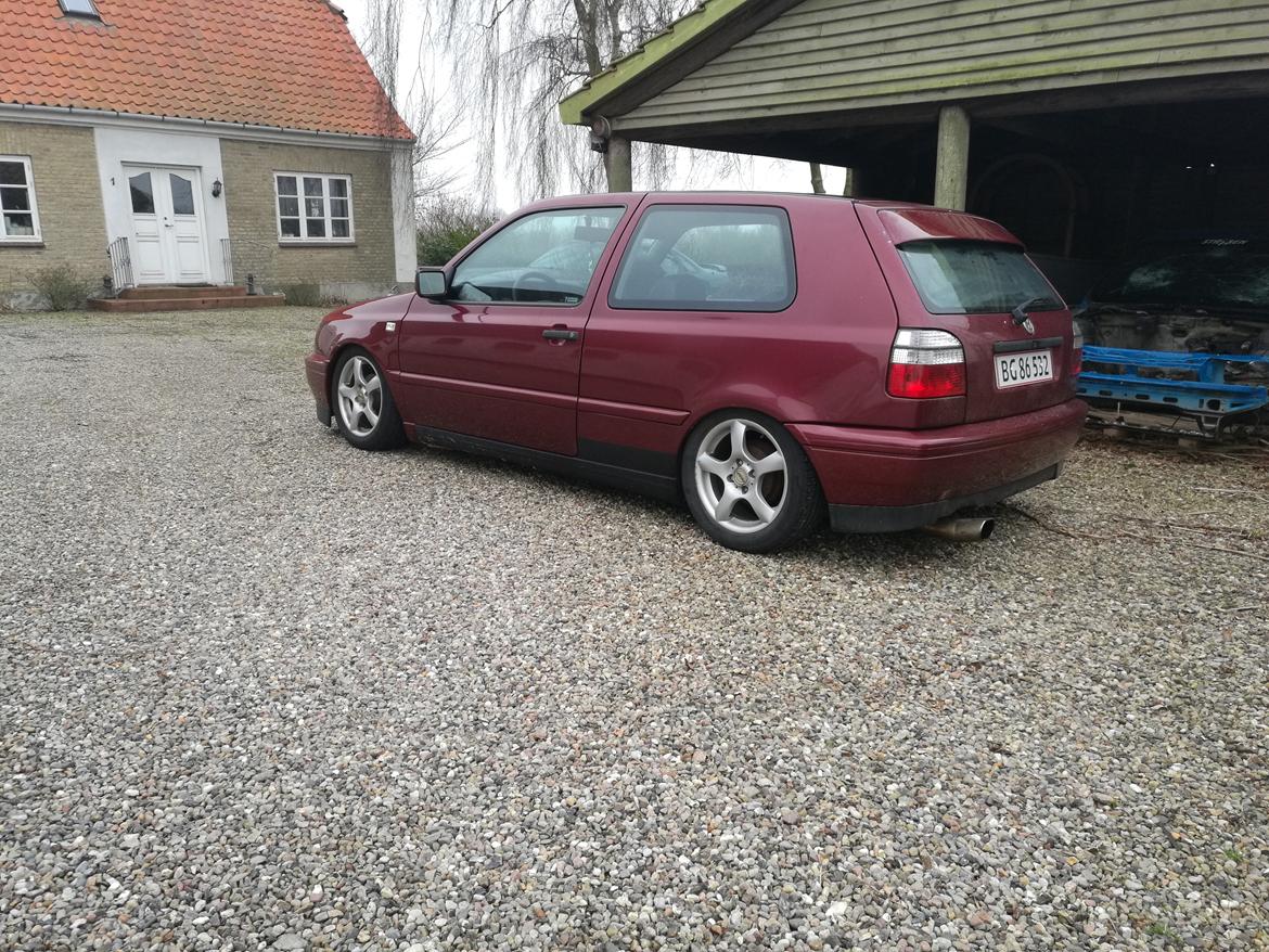 VW Golf 3.   HotChili  billede 5