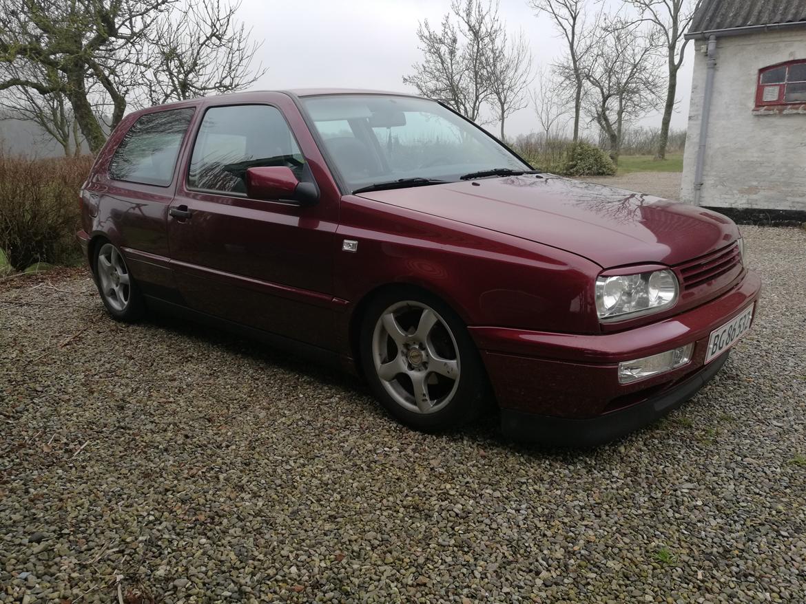 VW Golf 3.   HotChili  billede 4