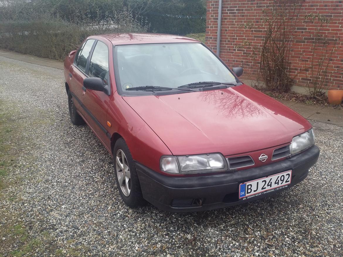 Nissan Primera P10 1.6 16v E - Lille bule i forskærm kan ses her billede 2