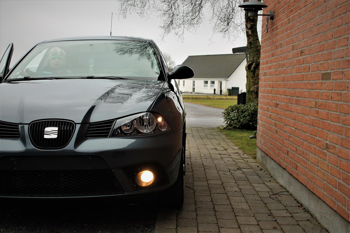 Seat Ibiza 6l billede 1