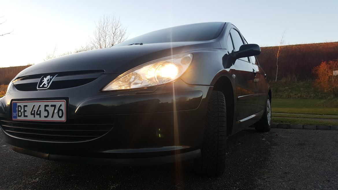 Peugeot 307 Griffe/SE billede 1