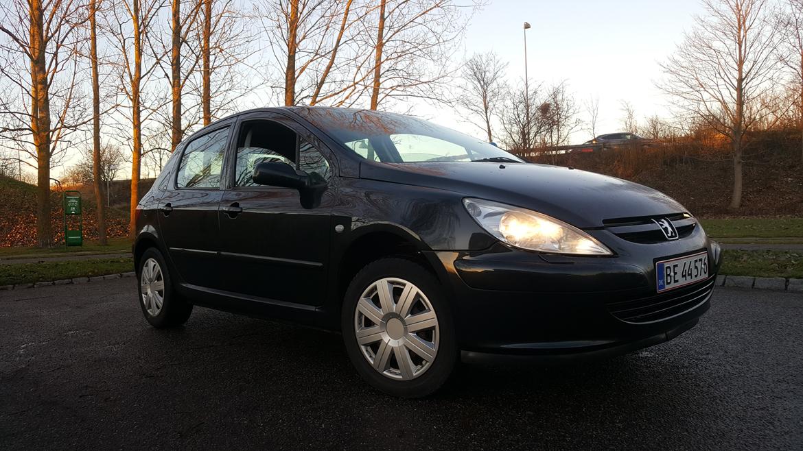 Peugeot 307 Griffe/SE billede 2