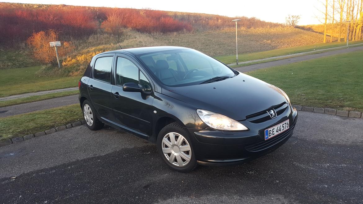 Peugeot 307 Griffe/SE billede 3