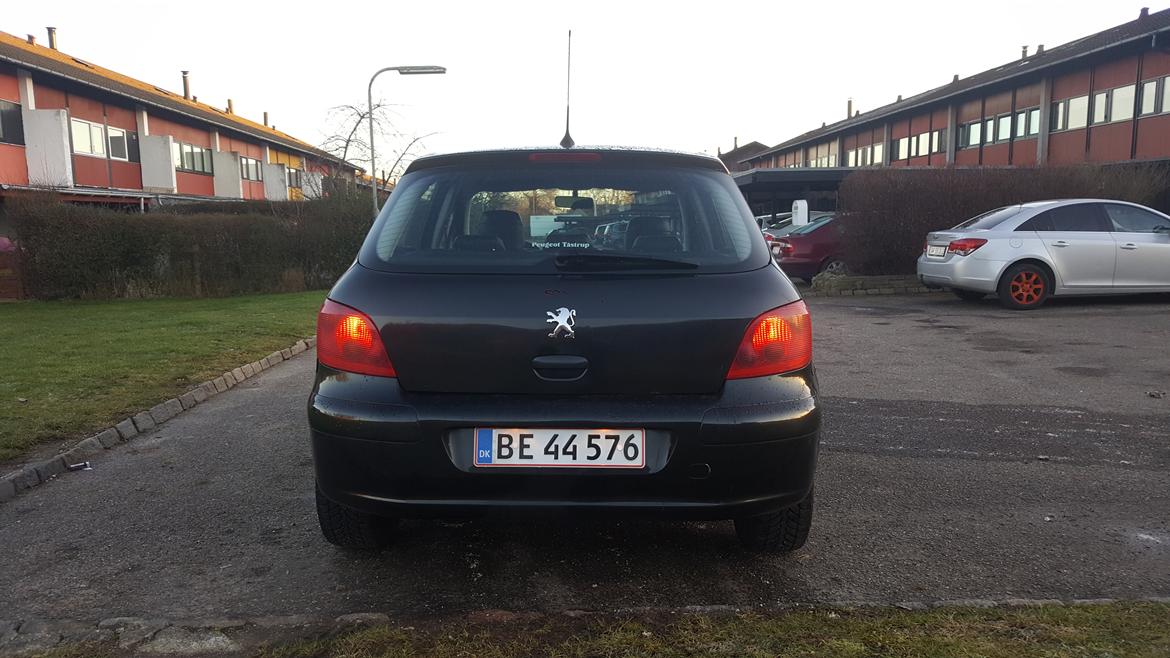 Peugeot 307 Griffe/SE billede 4