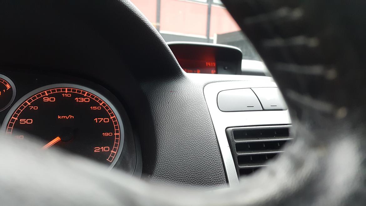 Peugeot 307 Griffe/SE billede 14