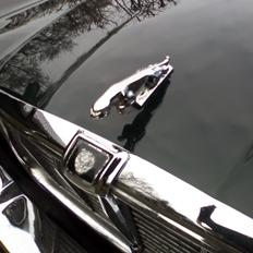 Jaguar XJ 6 L ( Lang model med extra benplads )