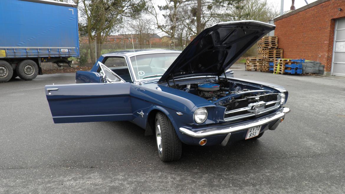 Ford Mustang billede 12