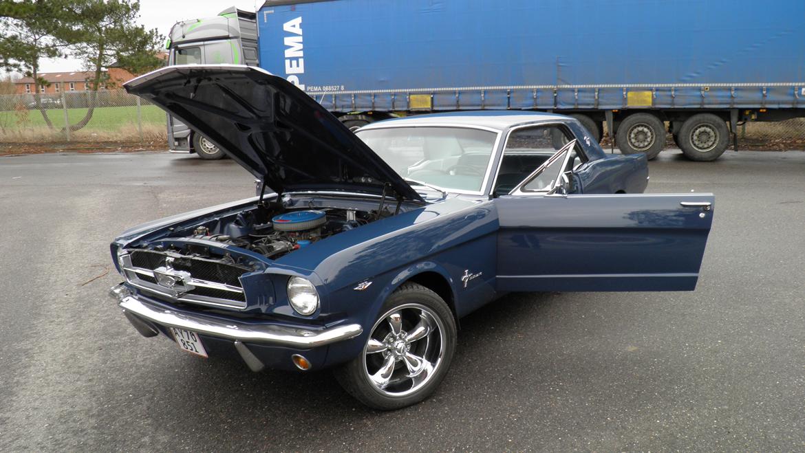 Ford Mustang billede 13