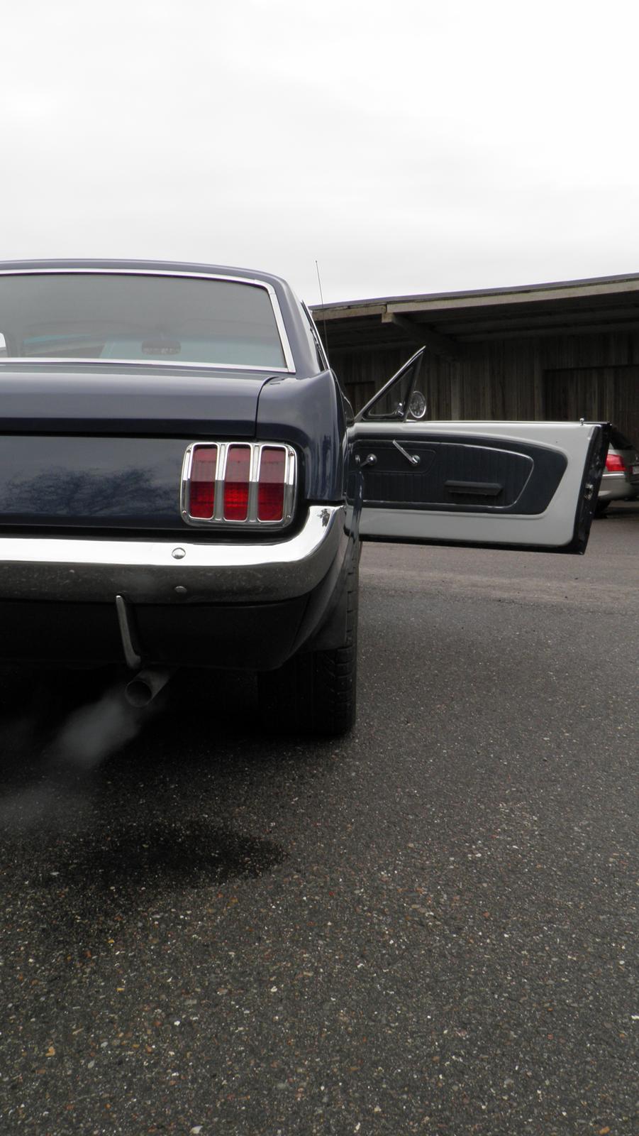 Ford Mustang billede 18