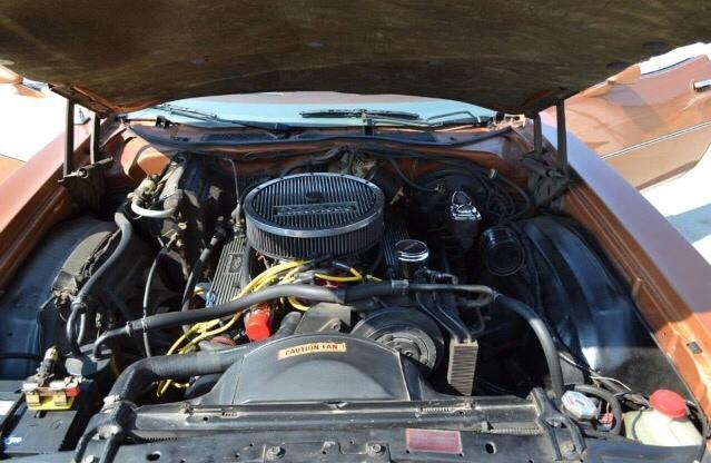 Ford Ranchero GT 500 billede 22