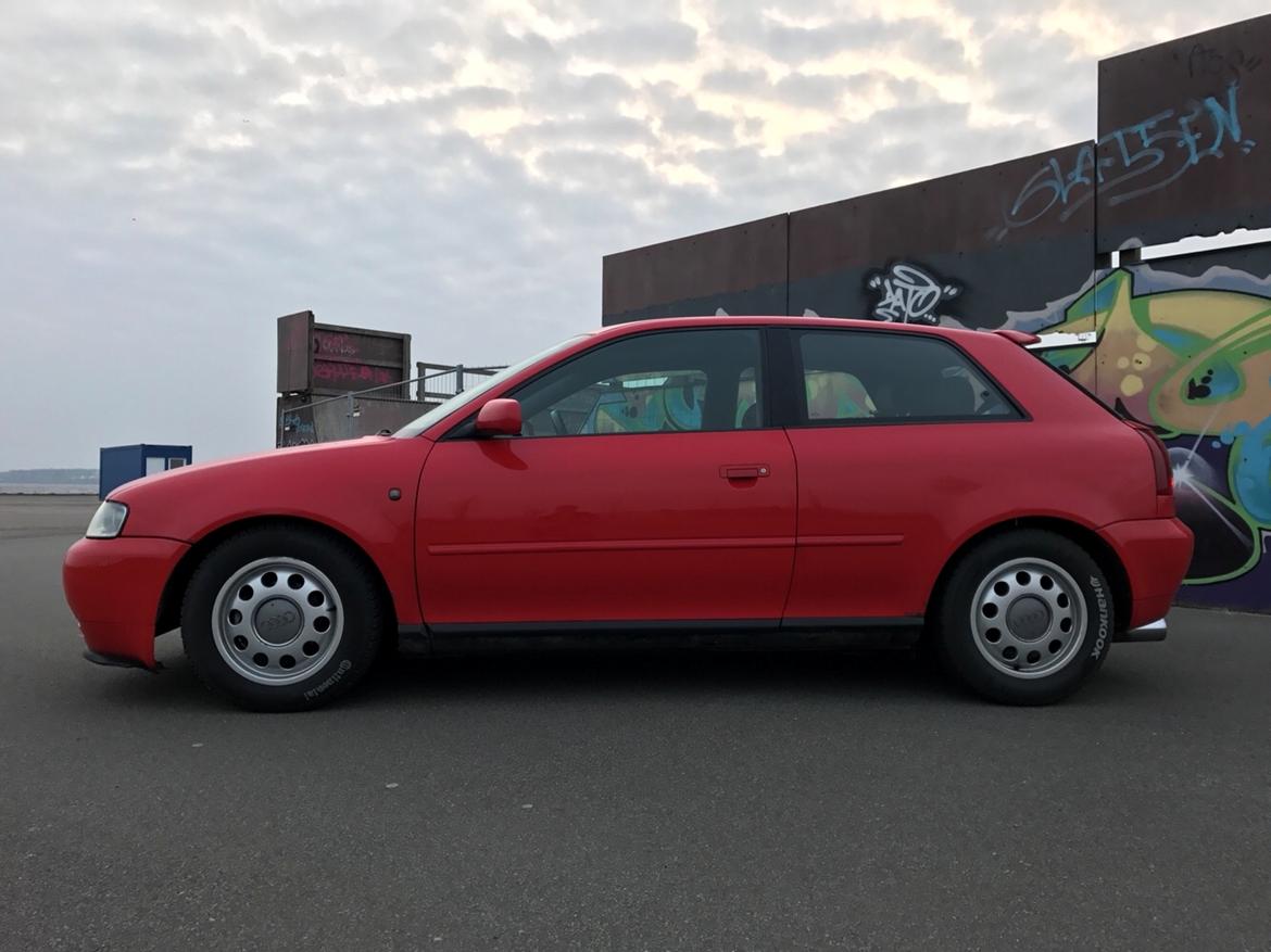 Audi A3 8L 1.6 billede 2