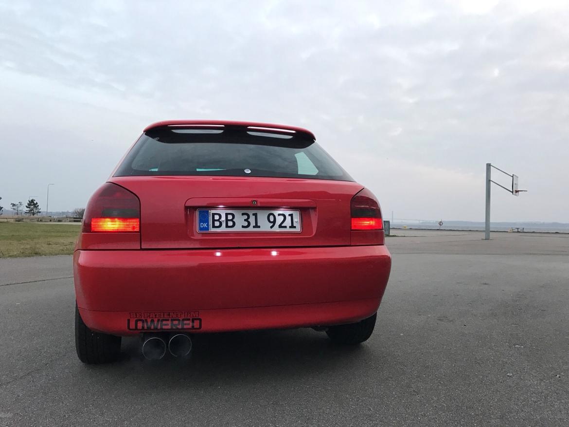 Audi A3 8L 1.6 billede 4