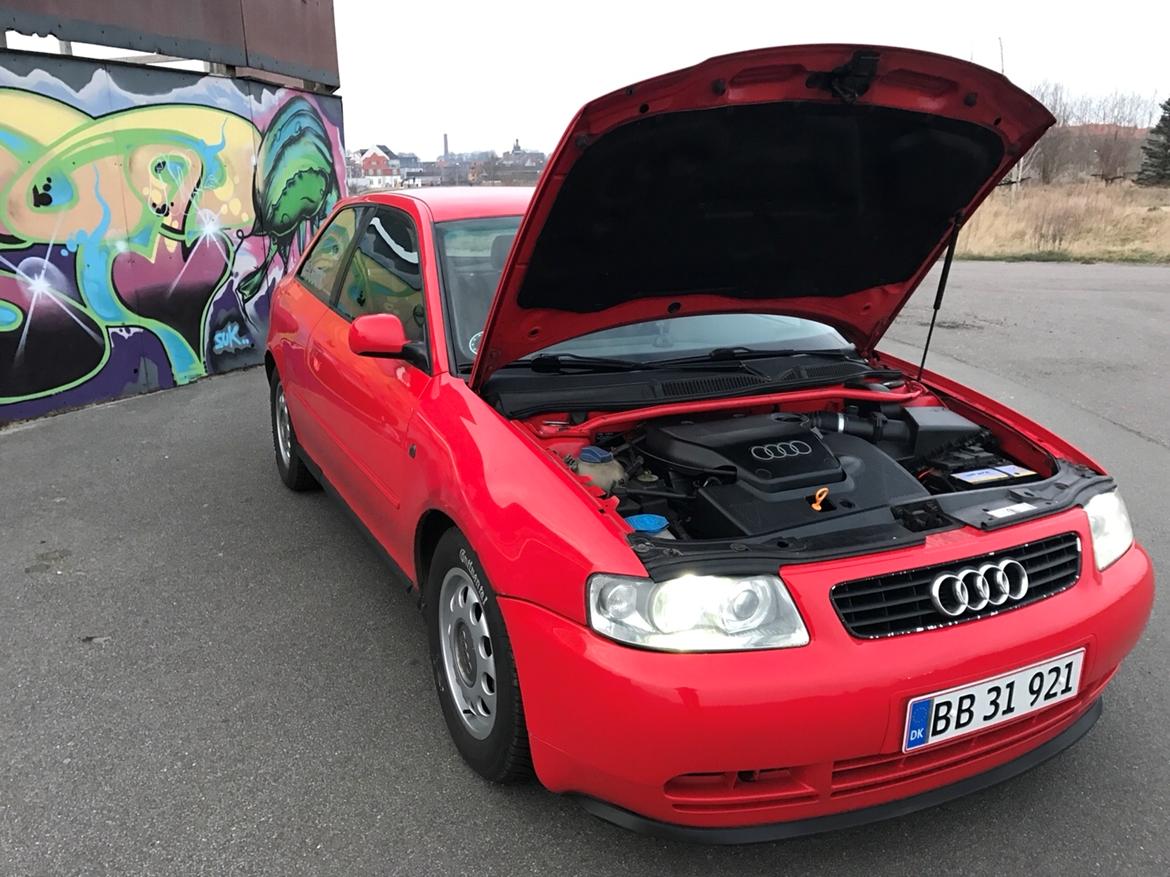 Audi A3 8L 1.6 billede 11