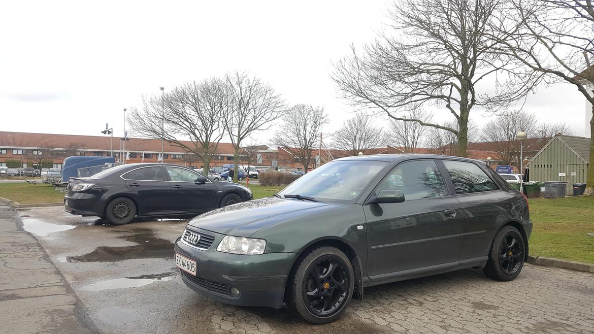 Audi A3 Facelift billede 2