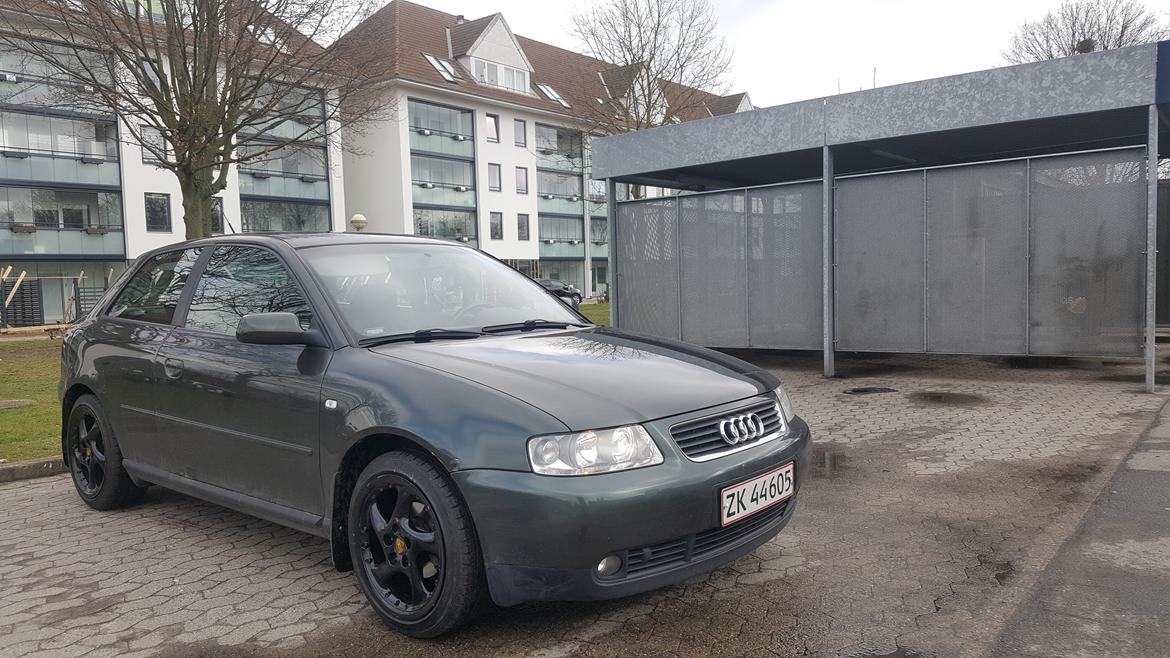 Audi A3 Facelift billede 3