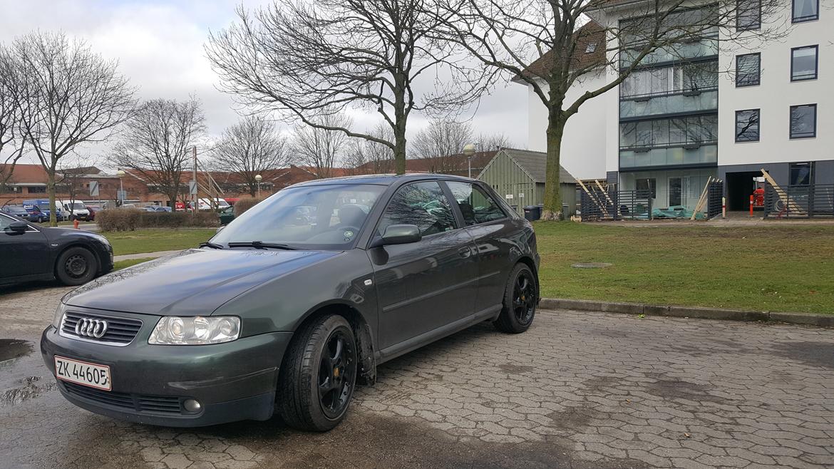 Audi A3 Facelift billede 15